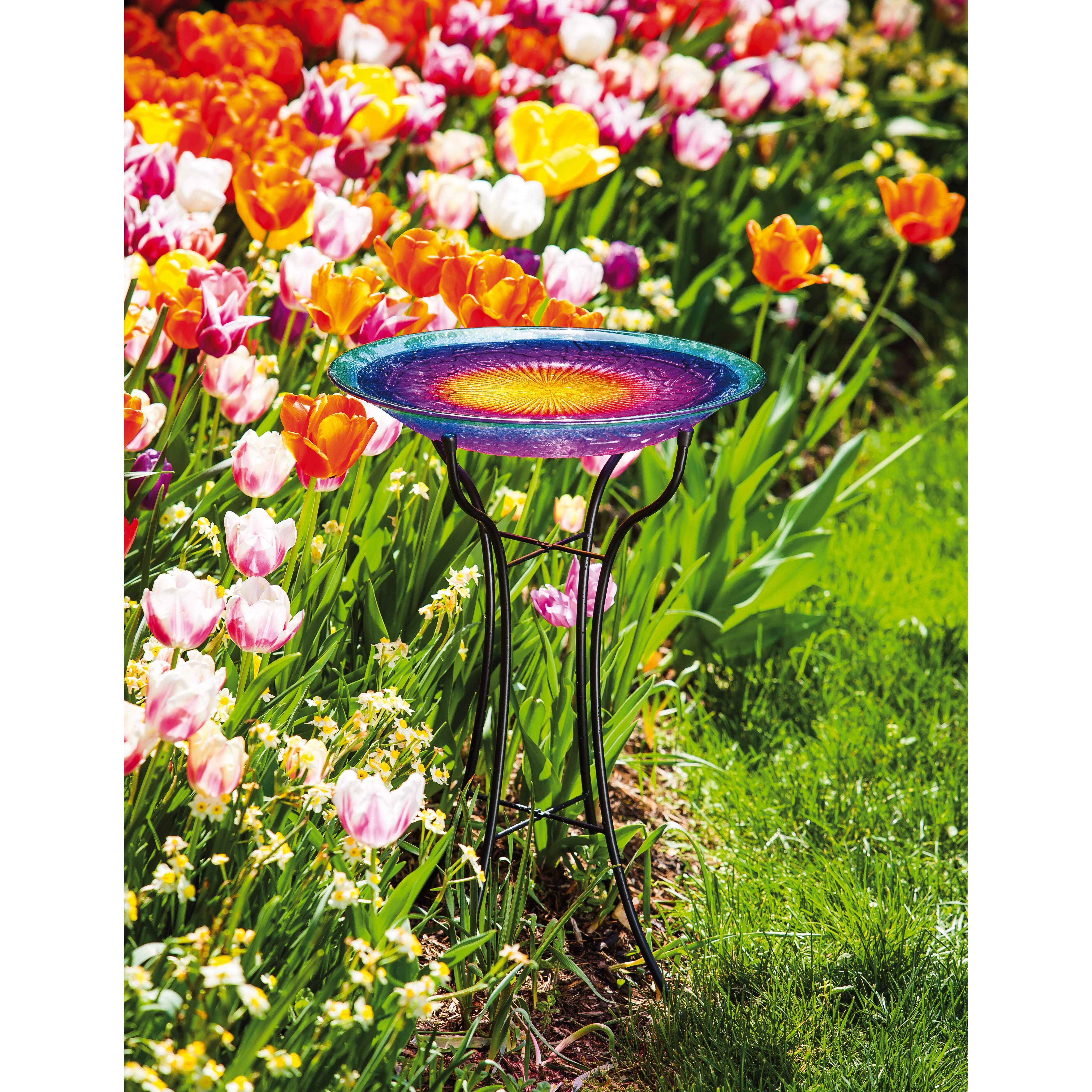 Evergreen Enterprises Inc Sunrise Glass Bird Bath With Stand Reviews