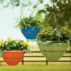 Planters You'll Love | Wayfair