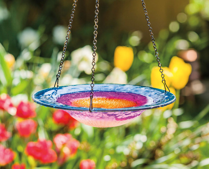 Bird Baths, Houses & Feeders You'll Love Wayfair