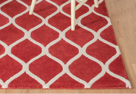 Area Rugs in Every Colour
