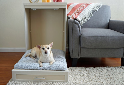 Pet Gear: Crates, Gates & More