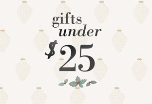 Gifts Under $25