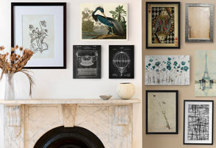 An Eclectic Collection