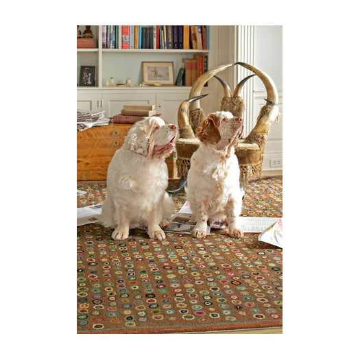 Dash and Albert Rugs Hooked Brown Area Rug & Reviews AllModern