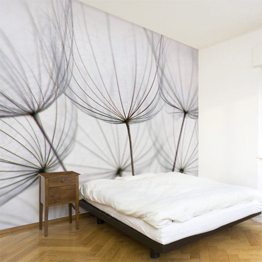 ADZif Multi Dandelion Wall Mural & Reviews AllModern