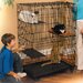 Midwest Homes For Pets Cat Cage & Playpen & Reviews | Wayfair