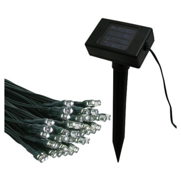 Pacific Accents Flipo Solar String Light & Reviews Wayfair