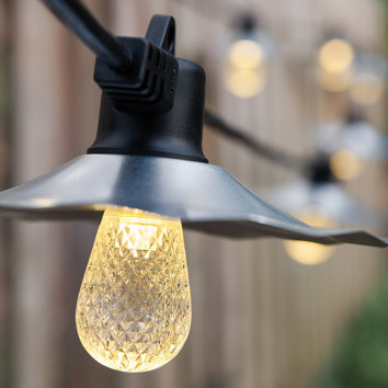 Wintergreen Lighting 15-Light Globe String Lights Wayfair