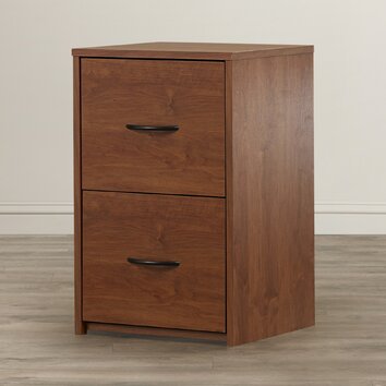 Symple Stuff 2 Drawer File Cabinet & Reviews | Wayfair