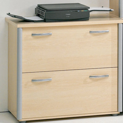 Wildon Home ® 2-Drawer Comet File Cab..