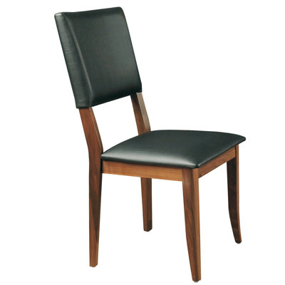 Langley Street Sabita Side Chair (Set of 2)