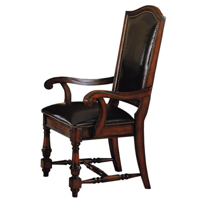 Darby Home Co Sellman Arm Chair (Set of 2)