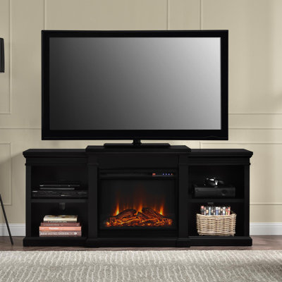 Darby Home Co Bryn TV Stand with Electric Firepl..