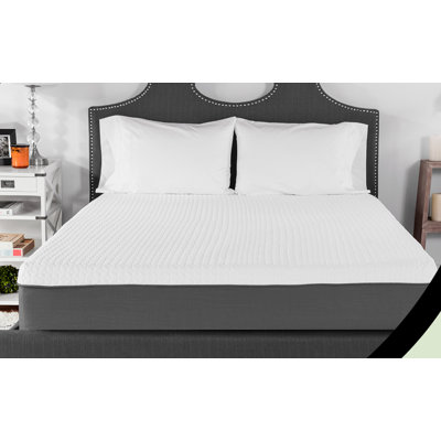 BioPEDIC 10