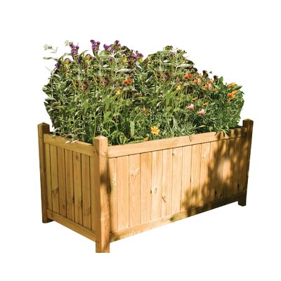 Rowlinson Rectangular Planter & Reviews | Wayfair UK