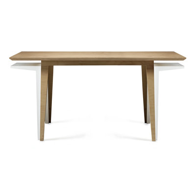 Brave Space Design Delta Writing Desk