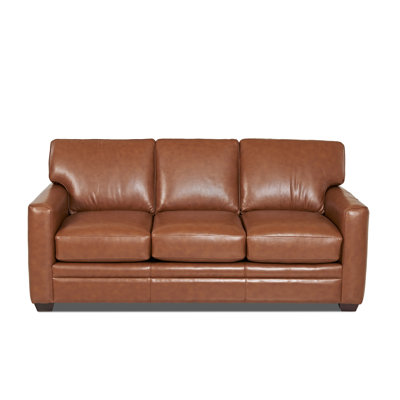 Wayfair Custom Upholstery Carleton Leather Sofa