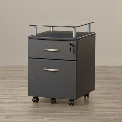 Andover Mills Onway 2 Drawer Mobile Fi..