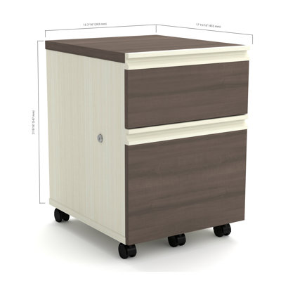 Red Barrel Studio Bormann 2-Drawer Mob..