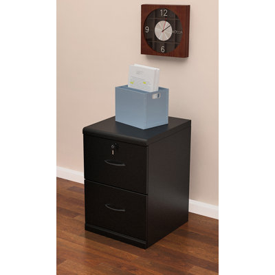Charlton Home Berkhead 2 Drawer File C..