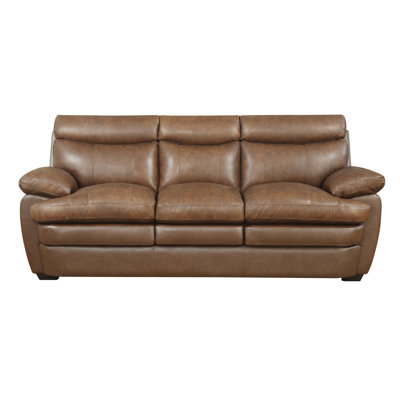 Darby Home Co Millwood Leather Sofa