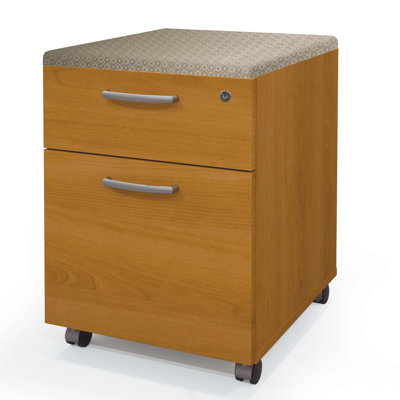 Latitude Run Ralph 2 Drawer Mobile Ped..