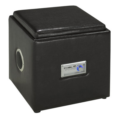 Brassex Storage and Bluetooth Audio Ot..