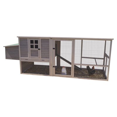 Pet Chicken Coops &amp; Accessories Chicken Coops Precision Pet SKU 