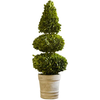 Napa Home & Garden Preserved Boxwoods Double Ball Cone Round in Planter ...