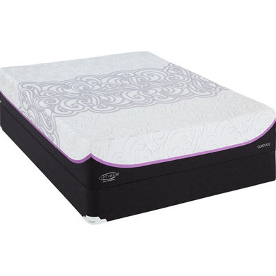 Sealy Optimum Elite Courage 12