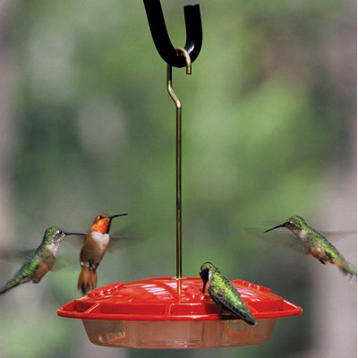 aspects inc hummzinger ultran hummingbird feeder reviews aspects inc hummzinger ultran hummingbird feeder reviews