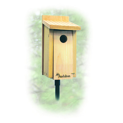 audubon woodlink bluebird birdhouse reviews wayfair audubon woodlink bluebird birdhouse reviews wayfair