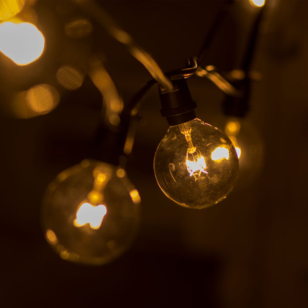 Birch Lane Globe String Lights & Reviews Birch Lane