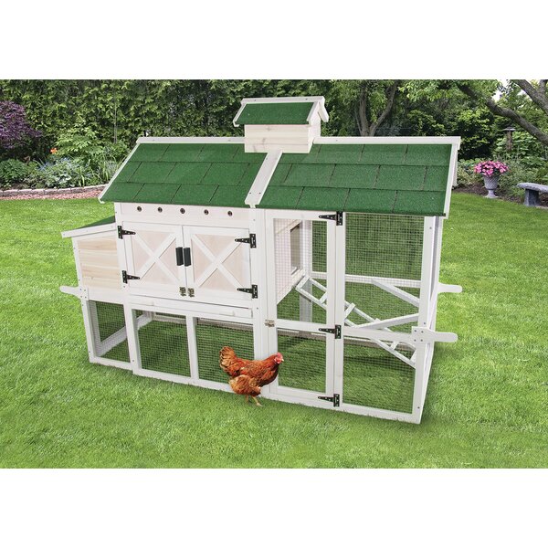 Ware Manufacturing Premium Chicken Coop with Roosting Bar ...