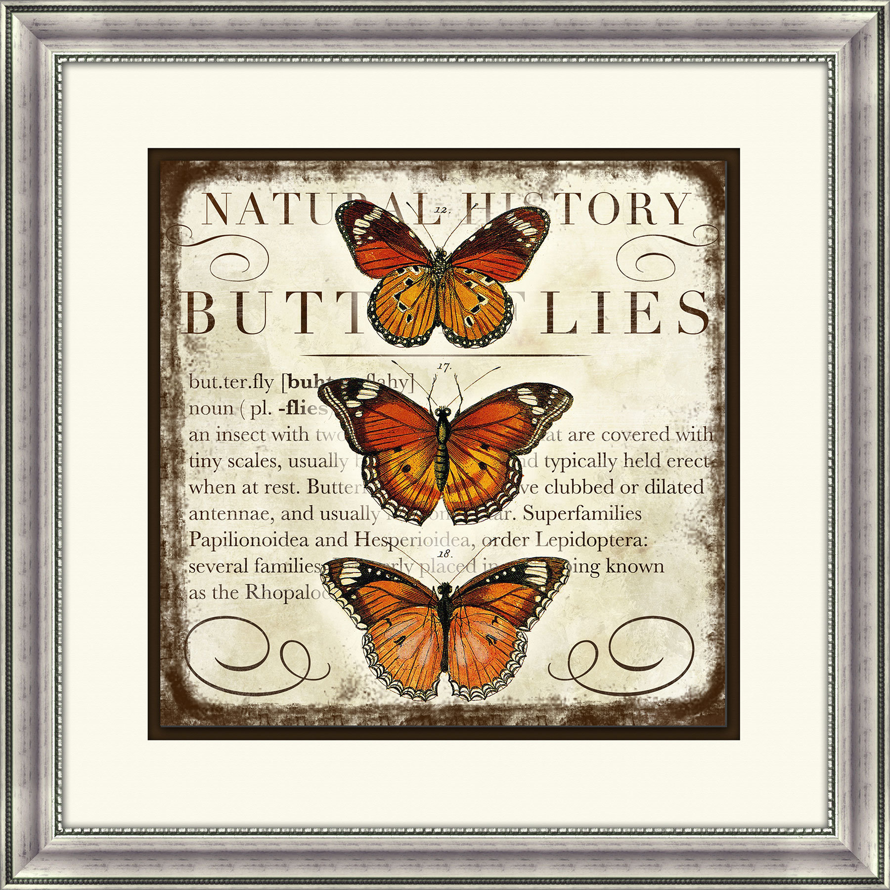 PTM Images Butterflies Framed Graphic Art & Reviews Wayfair