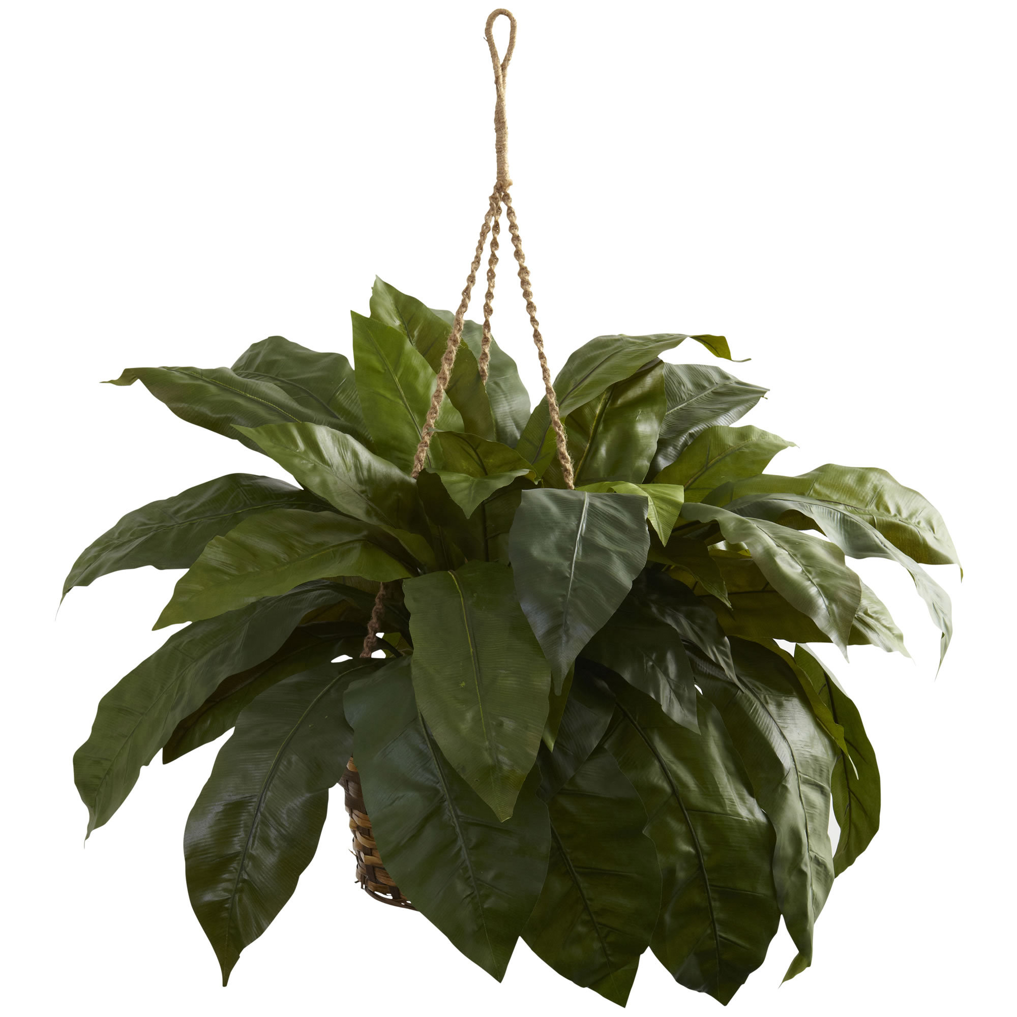 Nearly Natural Double Giant Birdsnest Hanging Plant in
