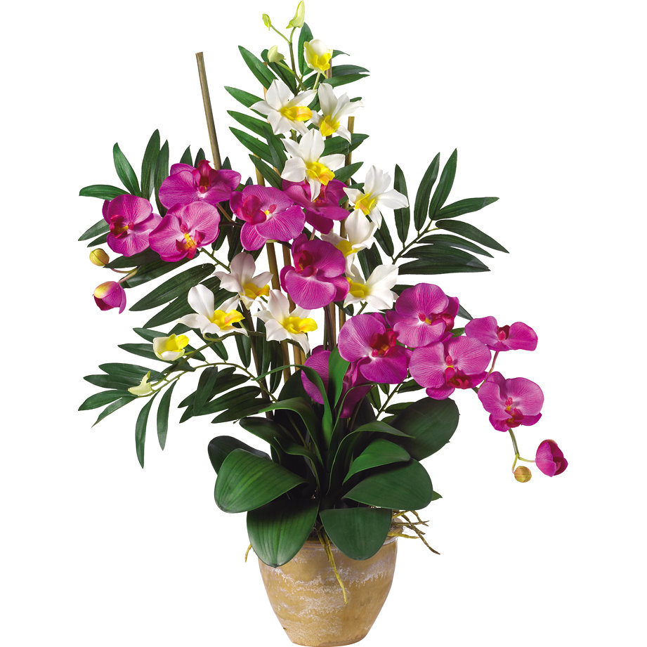 Nearly Natural Double Phalaenopsis and Dendrobium Silk Orchid