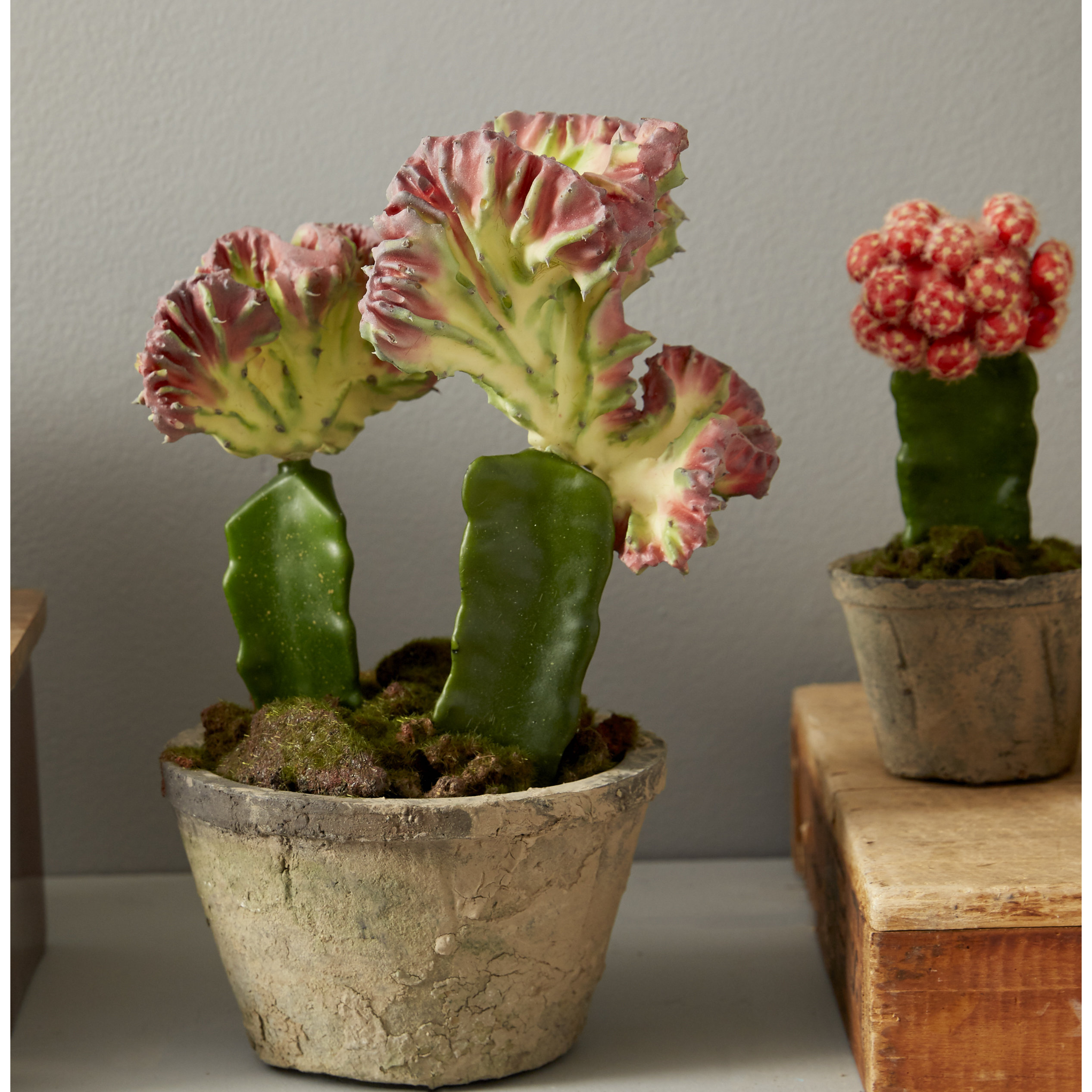 Nearly Natural 2 Piece Colorful Cactus Garden Set in Planter & Reviews