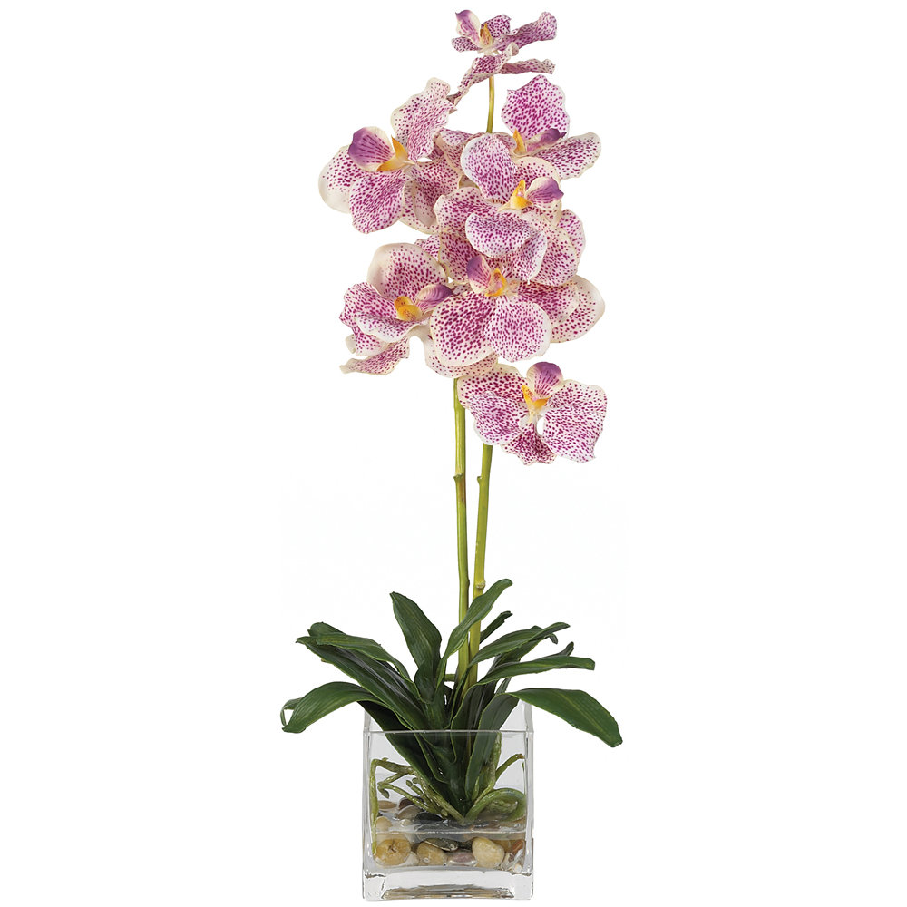 Nearly Natural Vanda Silk Orchid Flower with Glass Vase & Reviews Wayfair
