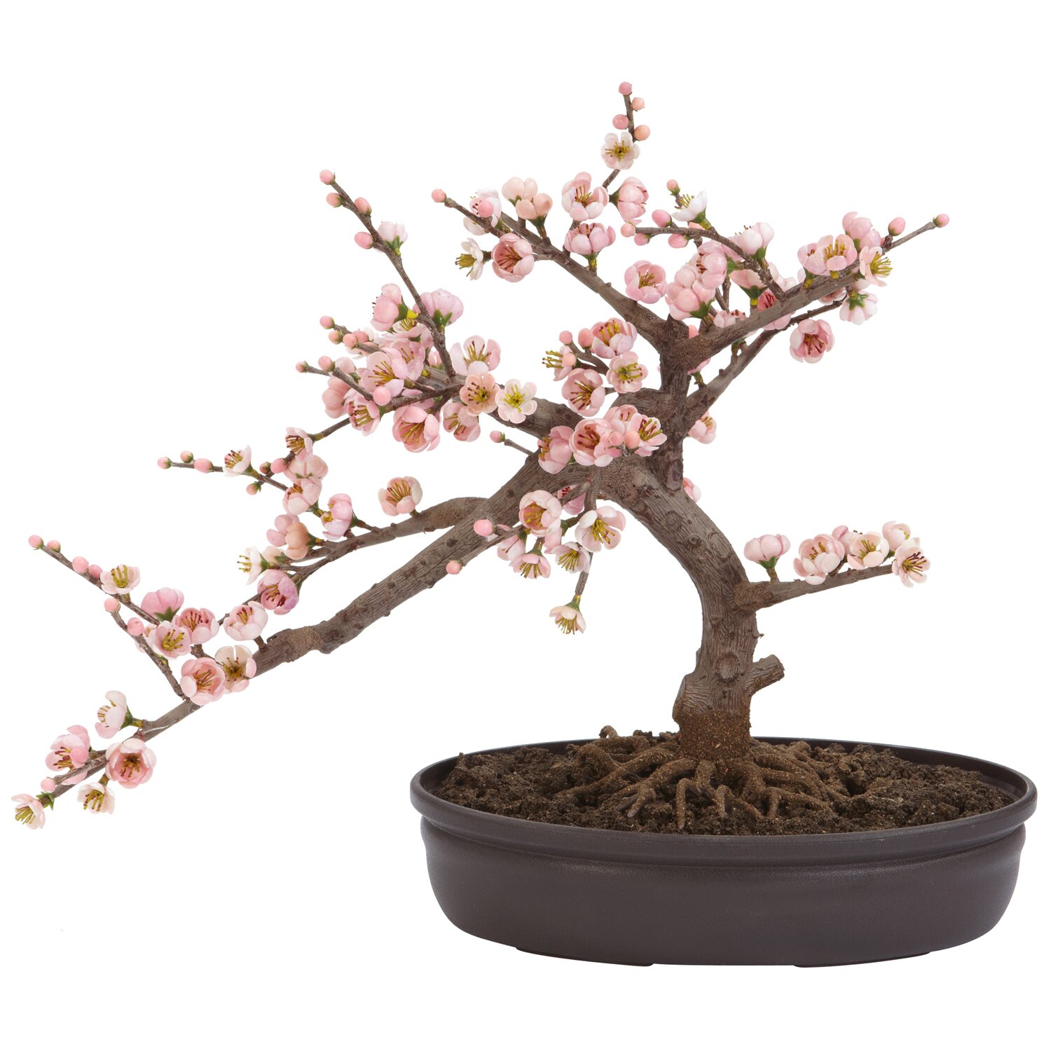 Nearly Natural  Blossom Bonsai  Tree in Pot  Reviews Wayfair