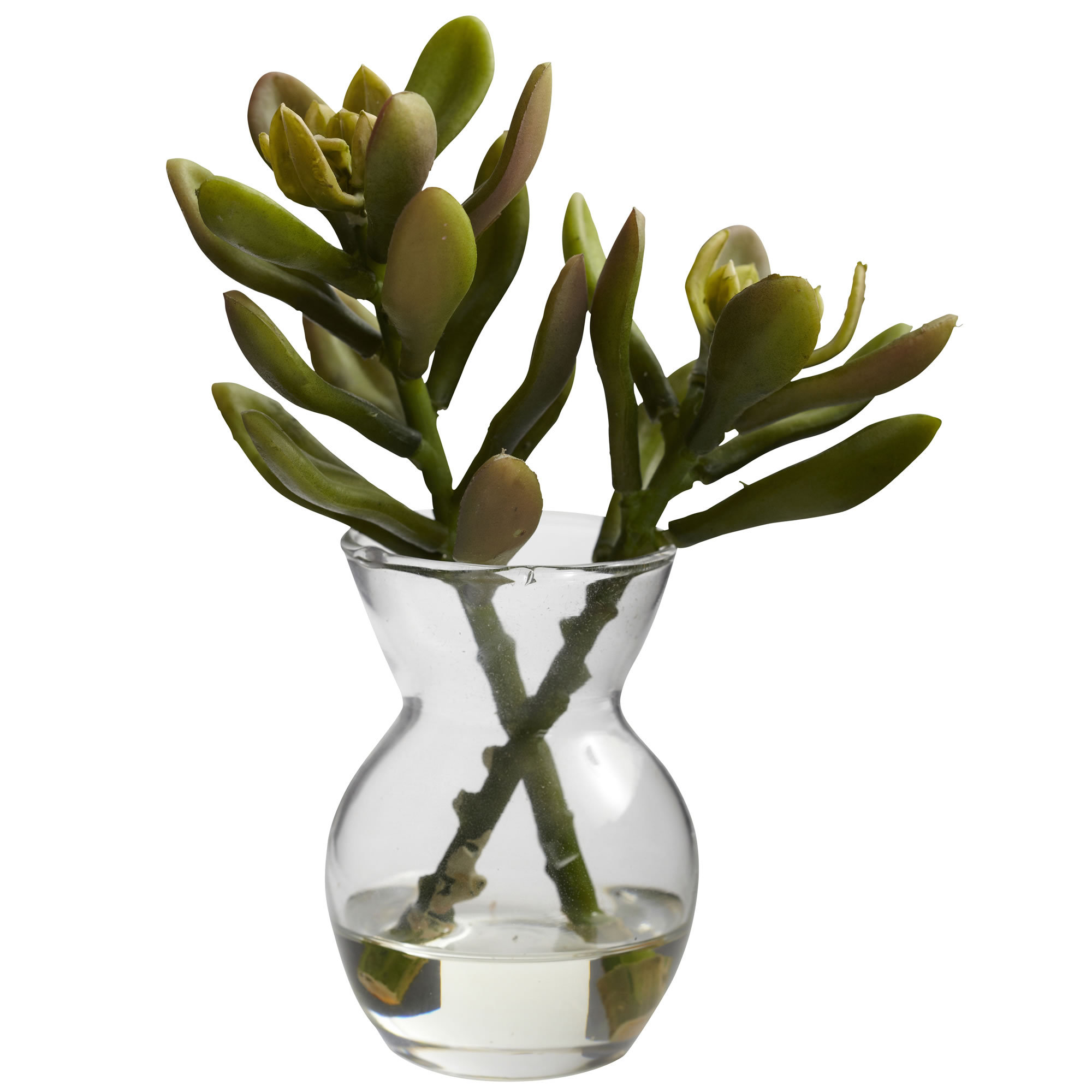 Nearly Natural Succulent Arrangements Desk Top Plant in Decorative Vase