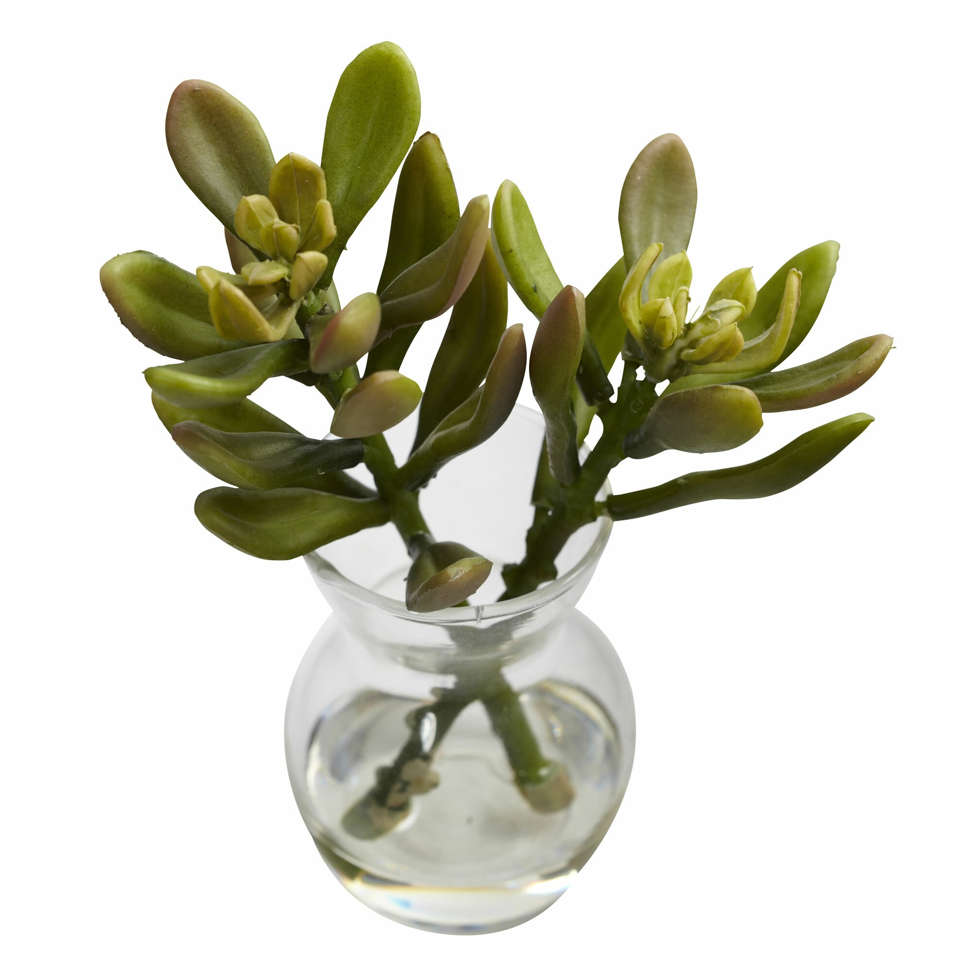 Nearly Natural Succulent Arrangements Desk Top Plant in Decorative Vase