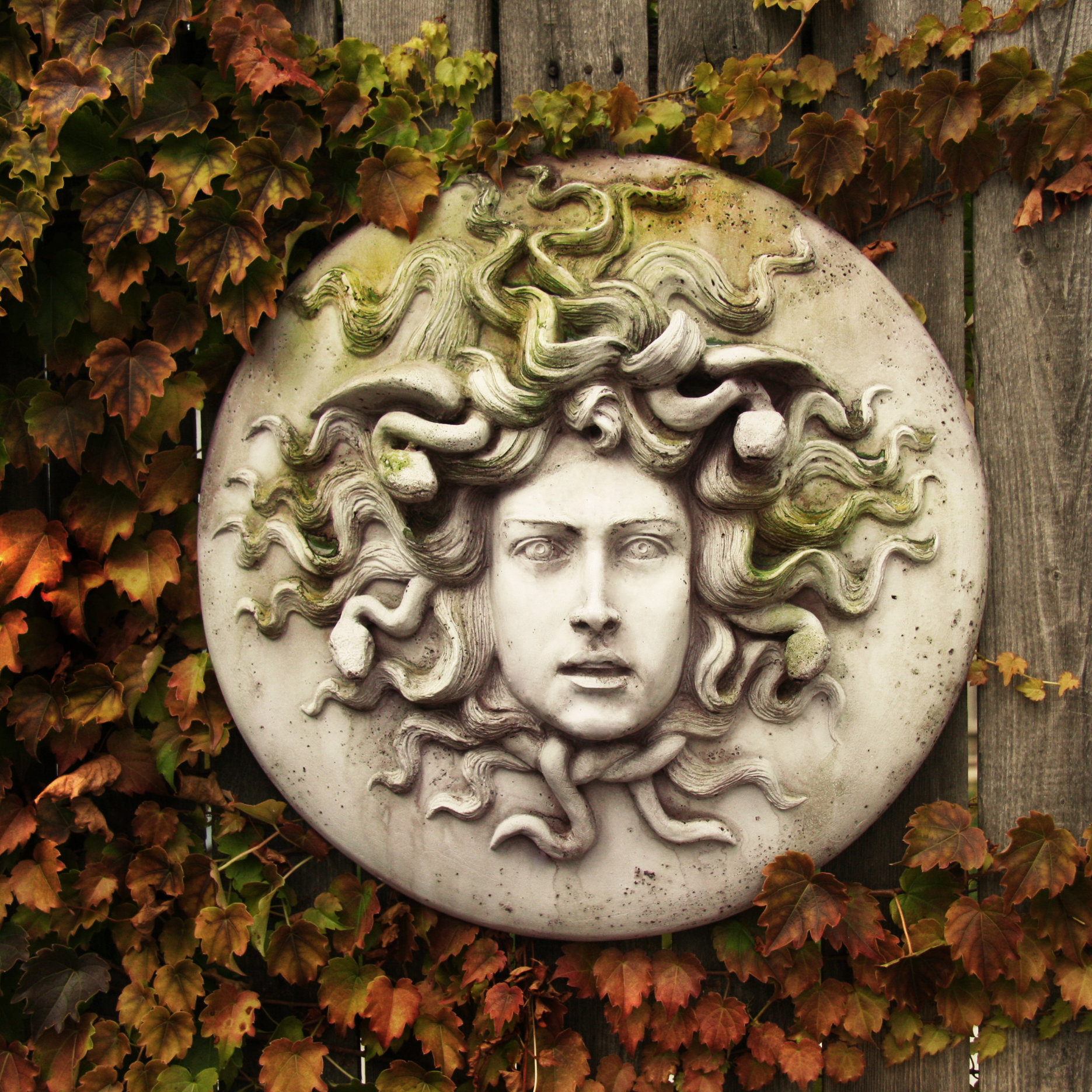 OrlandiStatuary Medusa Wall Plaque Wall Decor & Reviews Wayfair