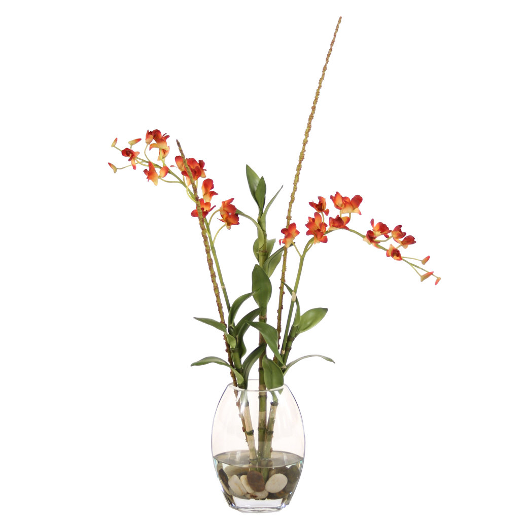 Distinctive Designs Waterlook Dendrobium Orchids, Twigs in Elliptical