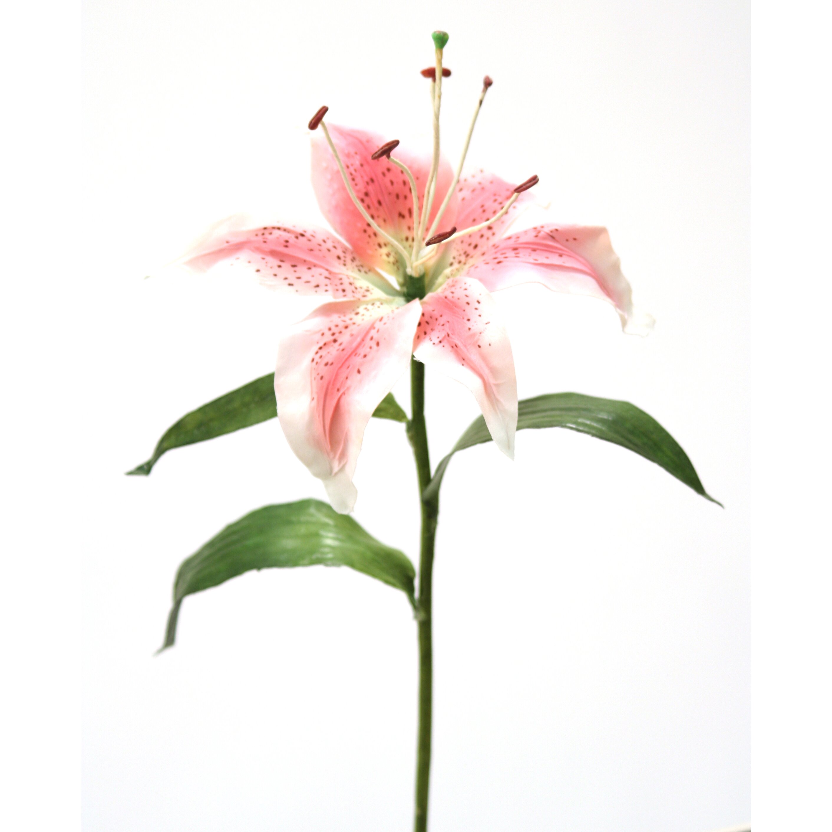 Distinctive Designs DIY Flower Single Hawaiian Lily & Reviews Wayfair