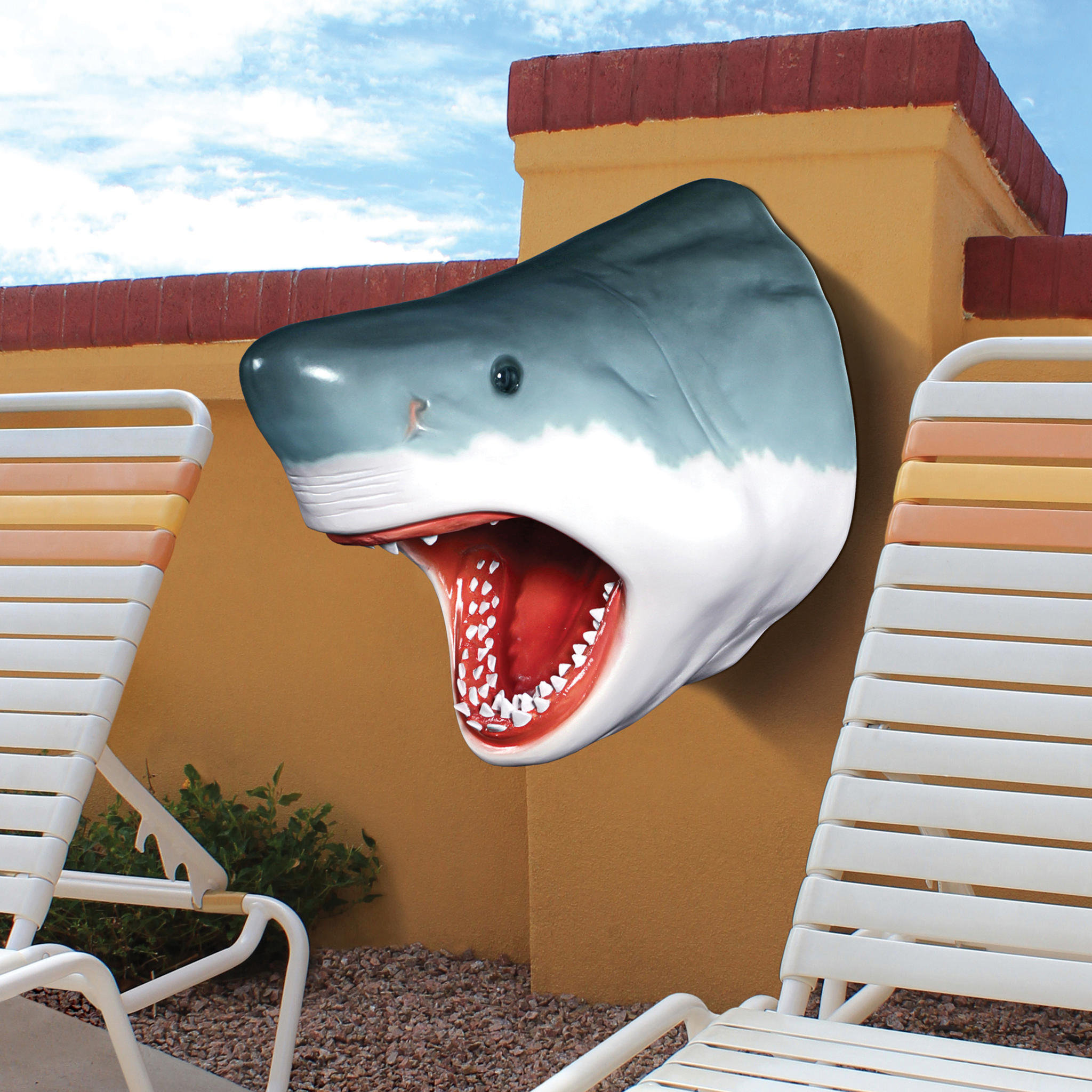 Design Toscano The Great White Shark Trophy Wall Decor & Reviews | Wayfair