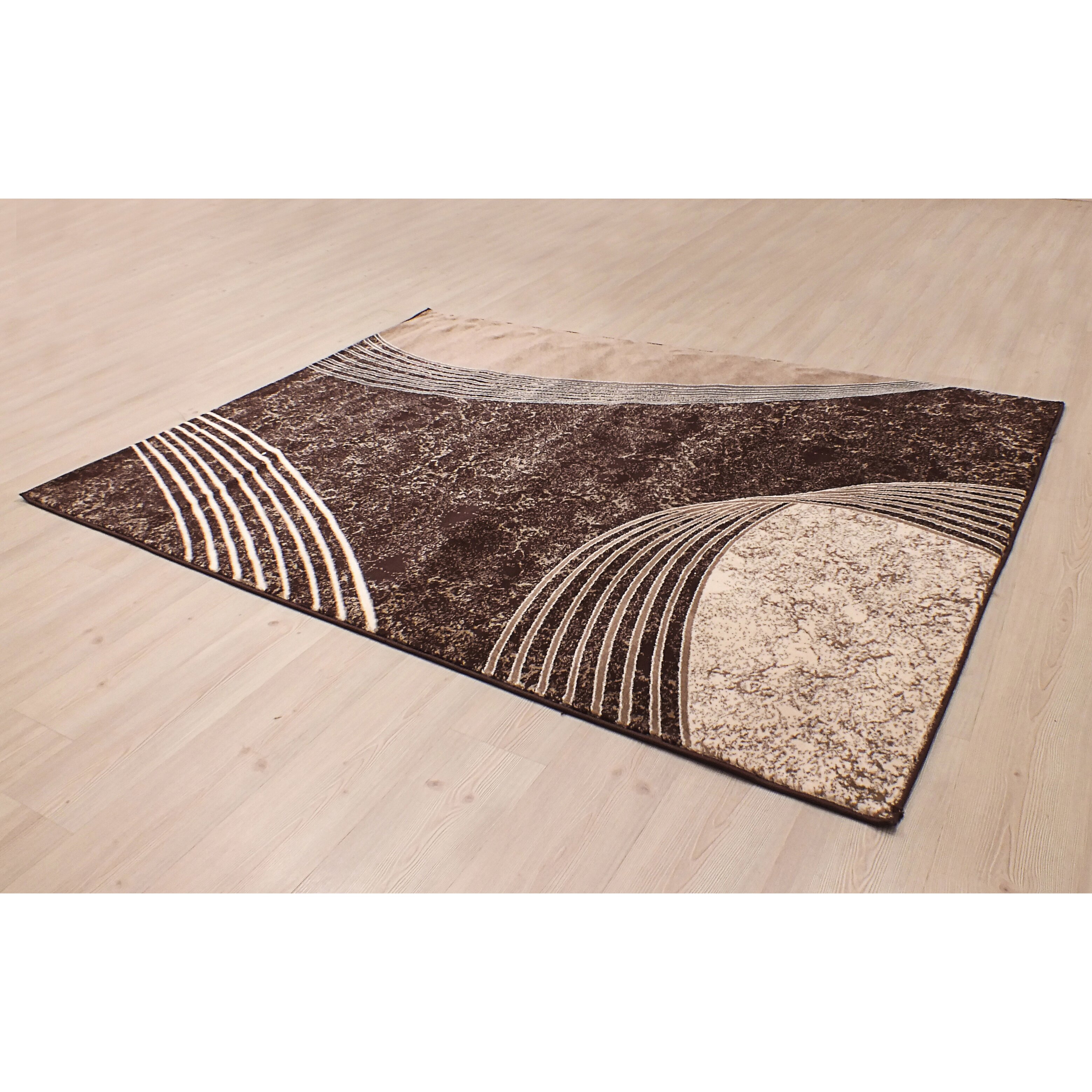 Segma Alberta Chocolate Area Rug &amp; Reviews | Wayfair