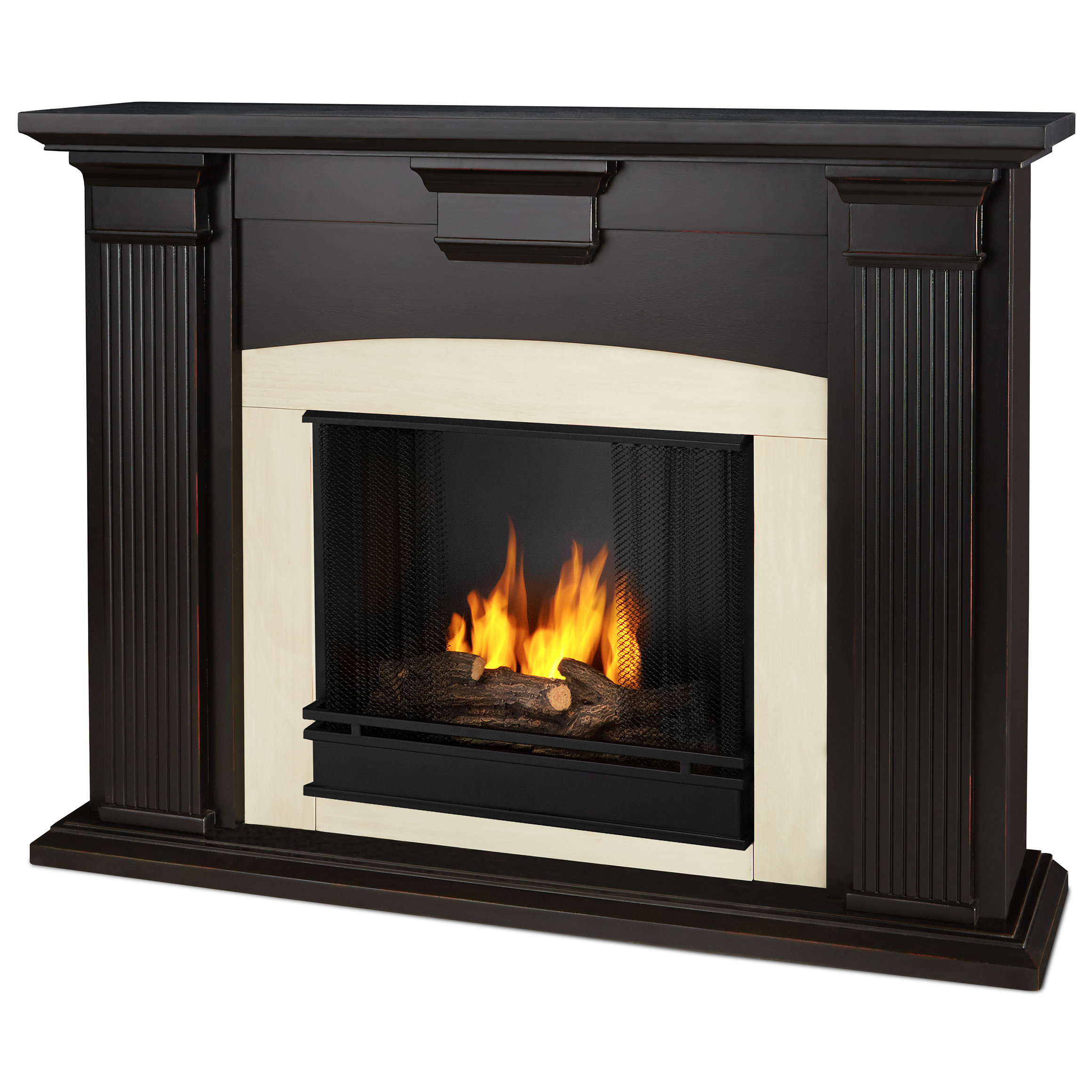 Real Flame Adelaide Gel Fuel Fireplace & Reviews Wayfair