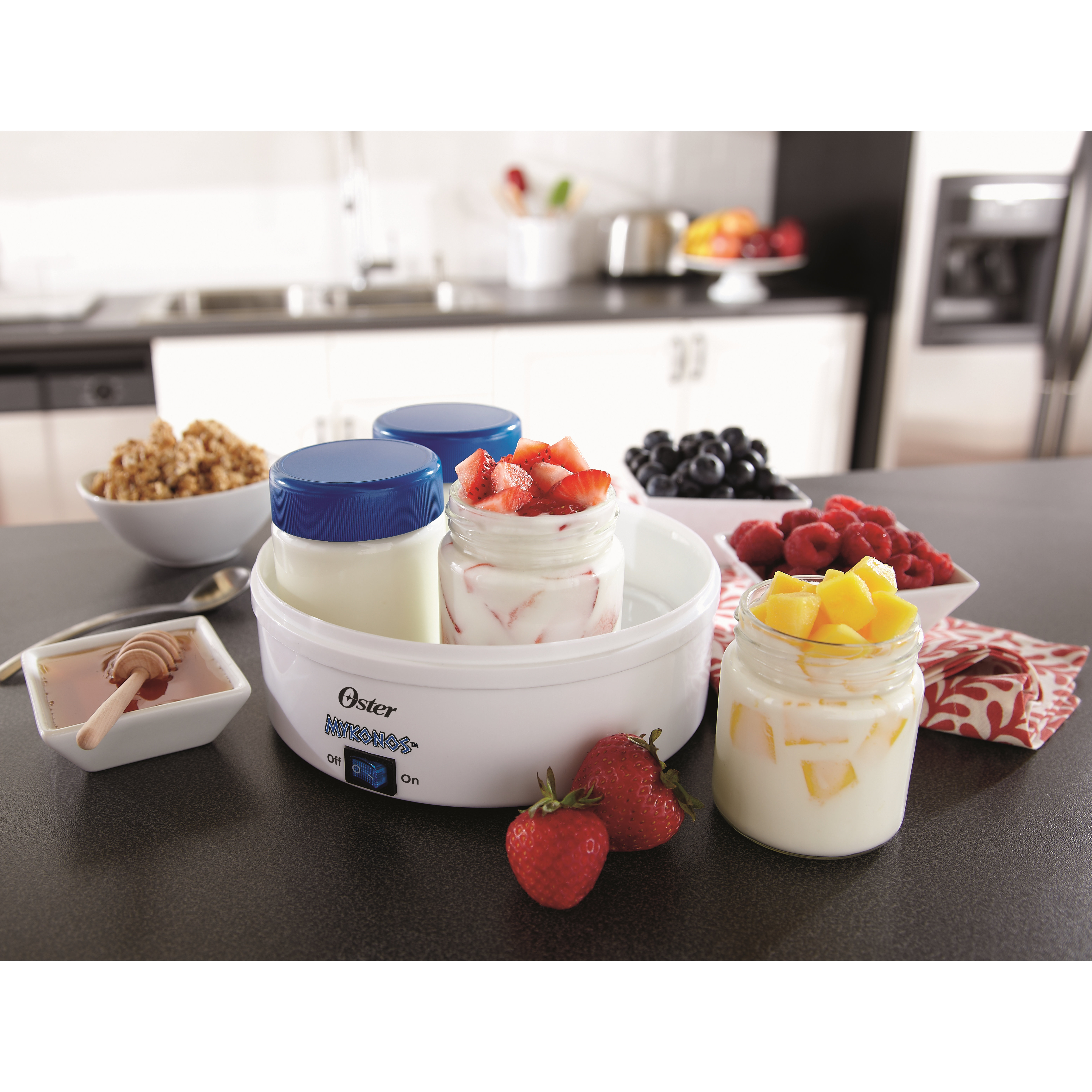 greek yogurt ice cream maker