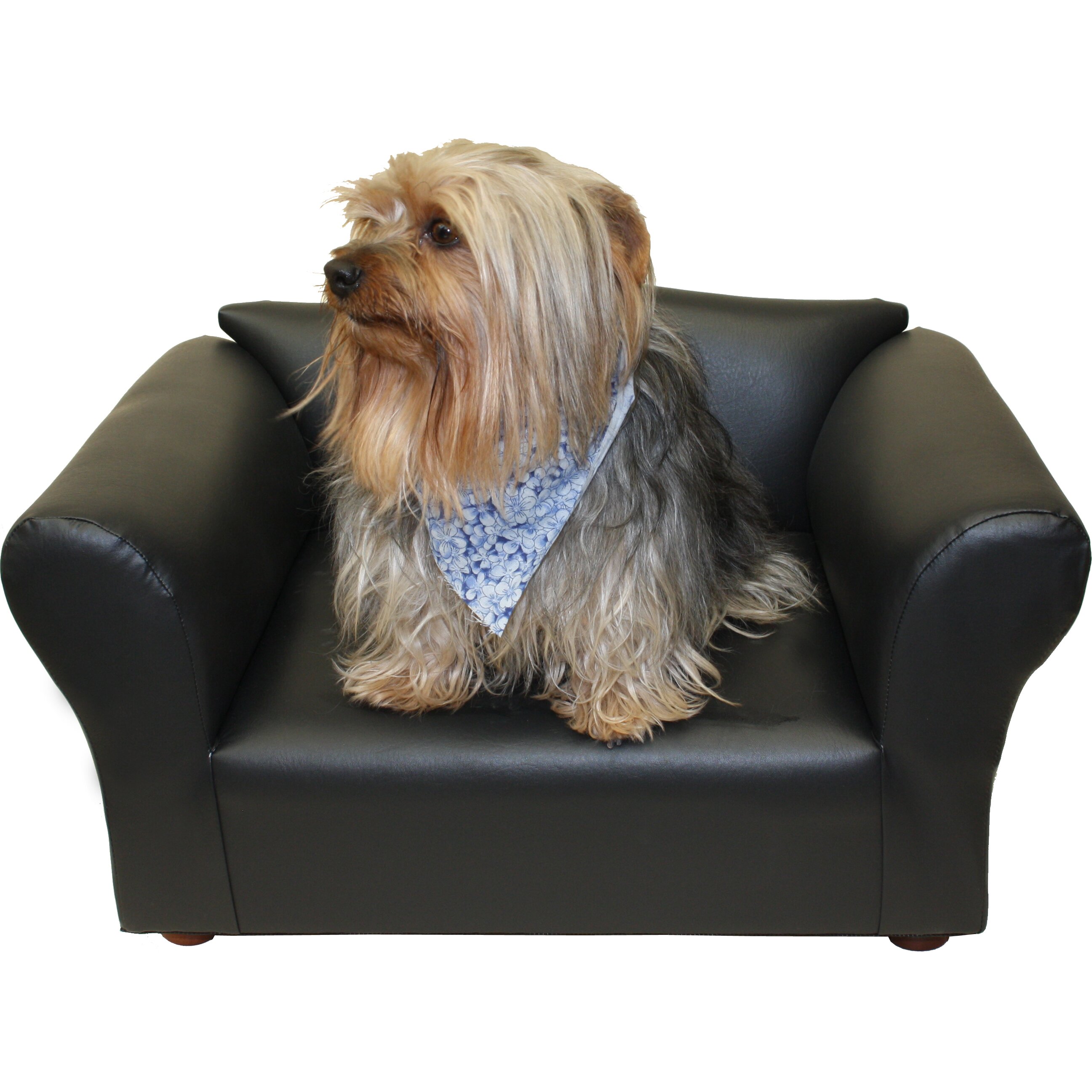 Keet Mini Dog Sofa & Reviews   Wayfair